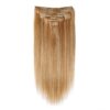 Sterly #27/30 Highlight Straight Clip-in Human Hair 8 Pices With 18 Clips 120g